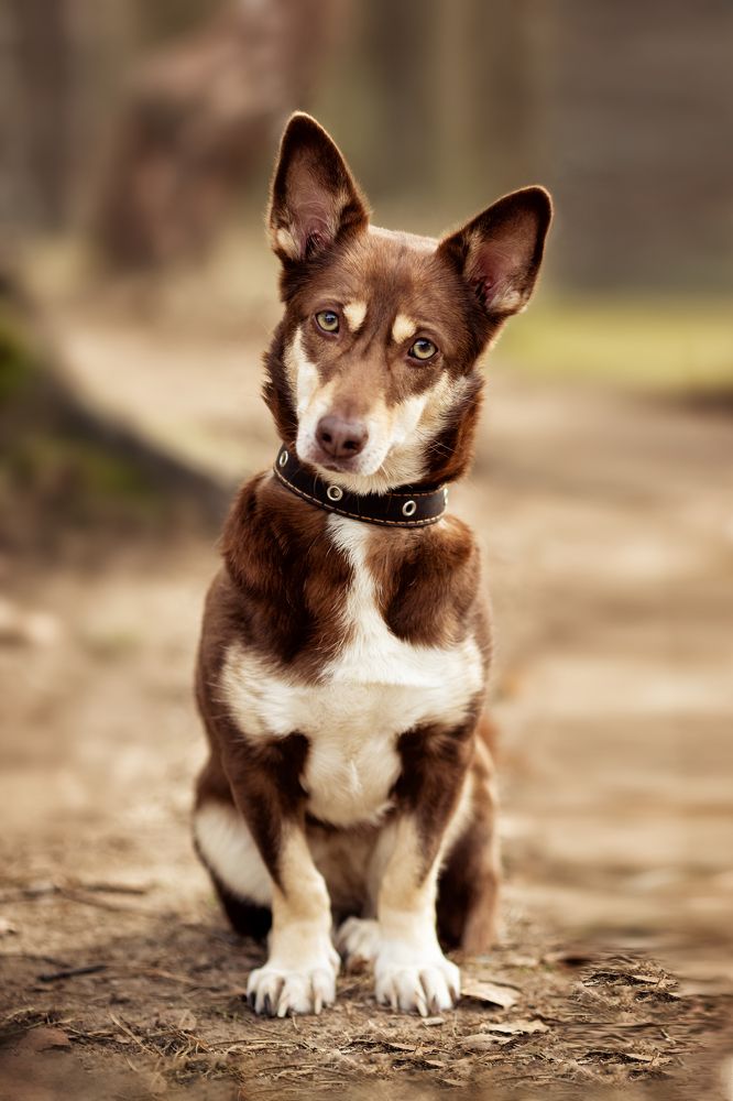 Photograph by Ольга Щерба