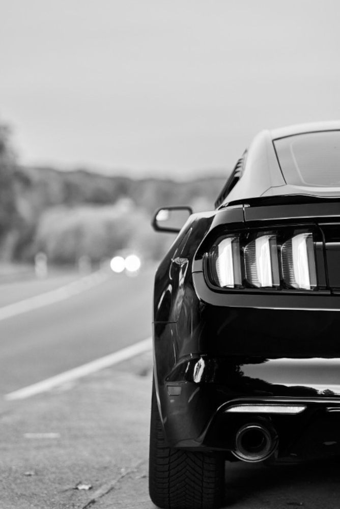 Photograph by Wener 2303