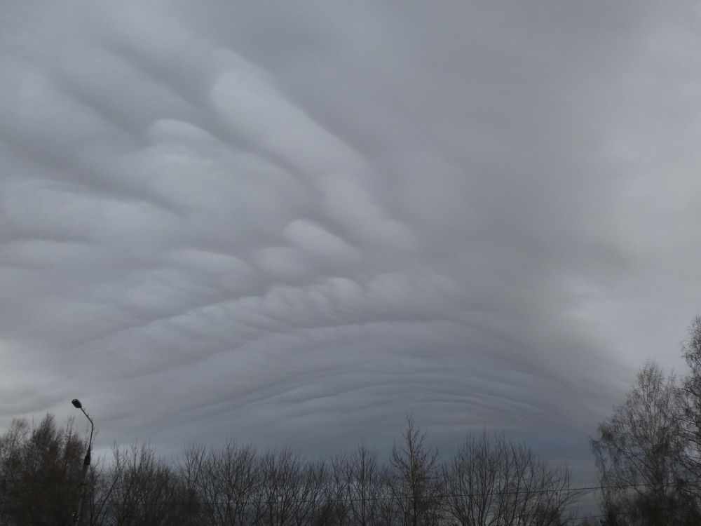 Photograph by Андрей Садчиков