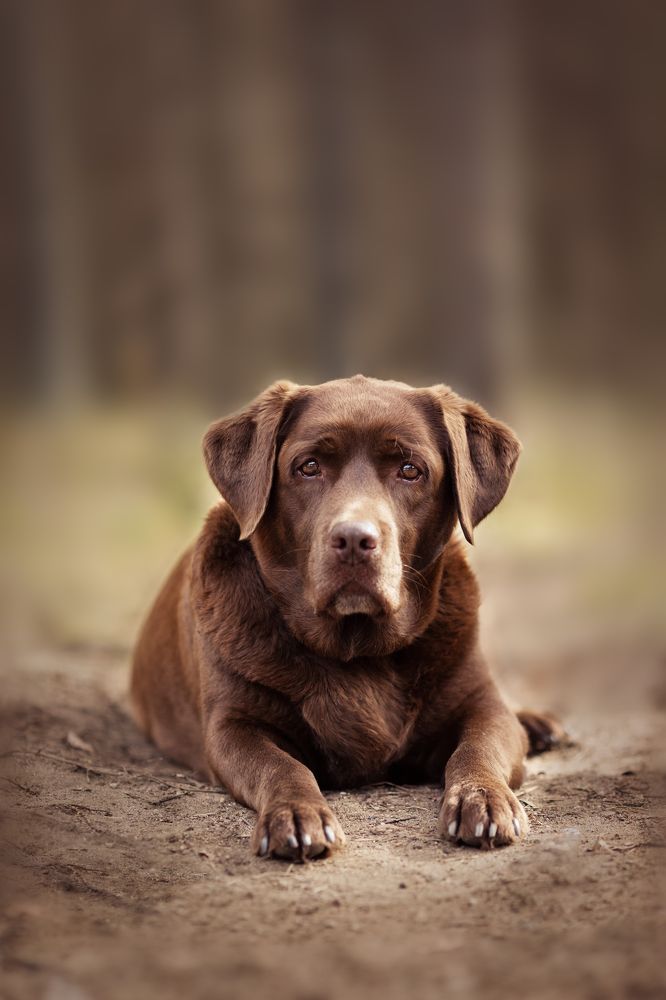 Photograph by Ольга Щерба