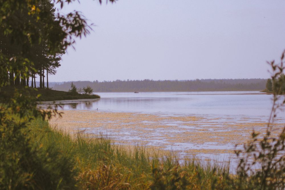 Photograph by Светлана Галкина