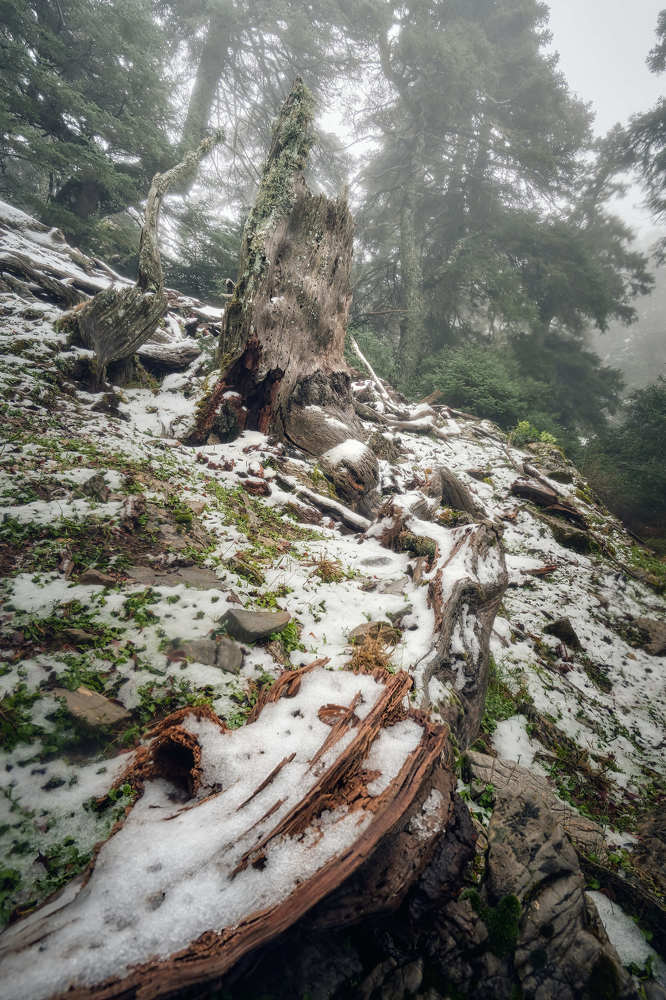 Photograph by Marquez Lanza Antonio