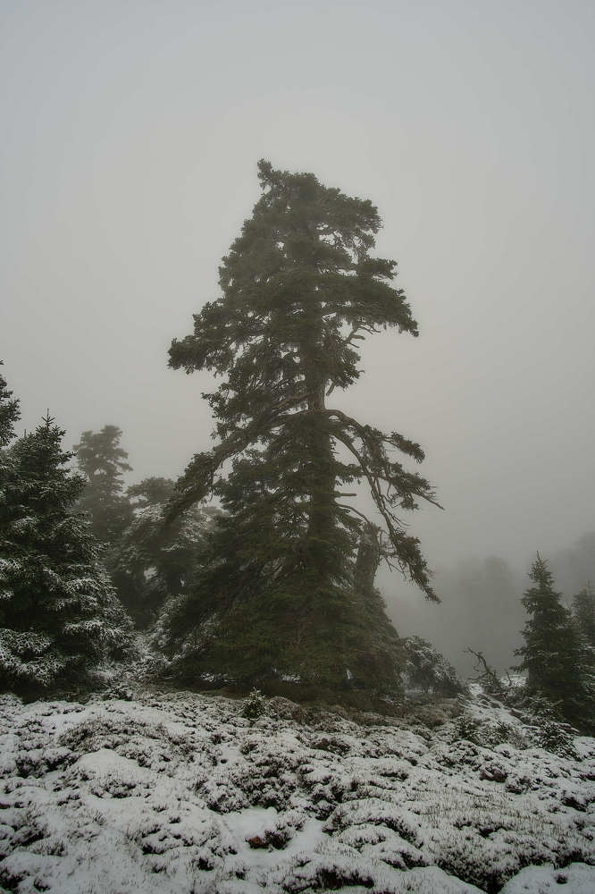 Photograph by Marquez Lanza Antonio