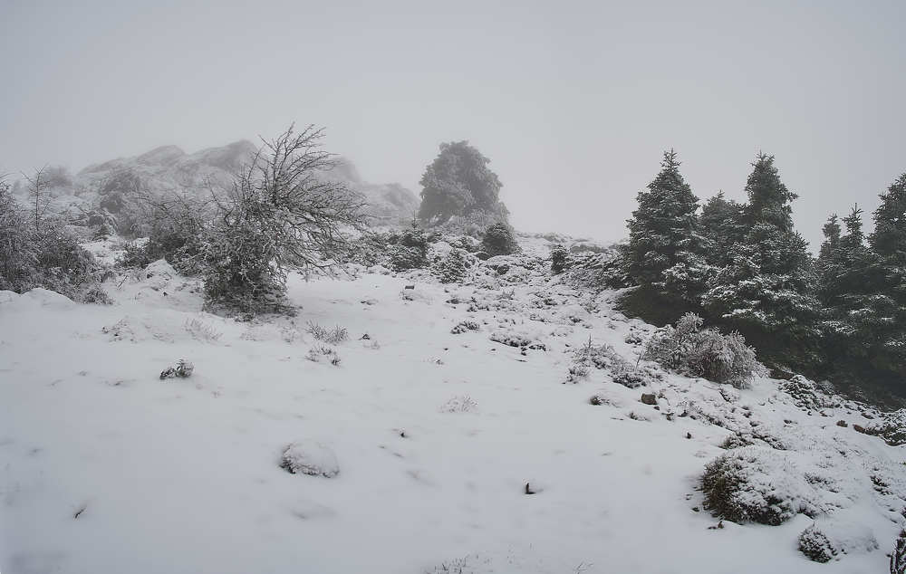 Photograph by Marquez Lanza Antonio