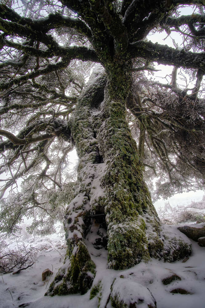 Photograph by Marquez Lanza Antonio