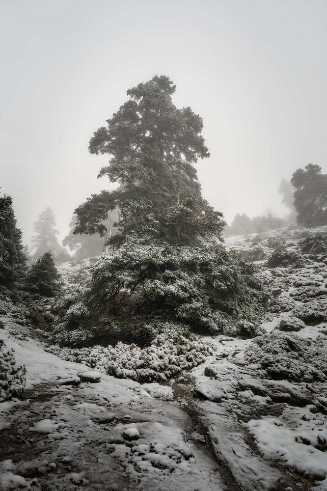 Photograph by Marquez Lanza Antonio