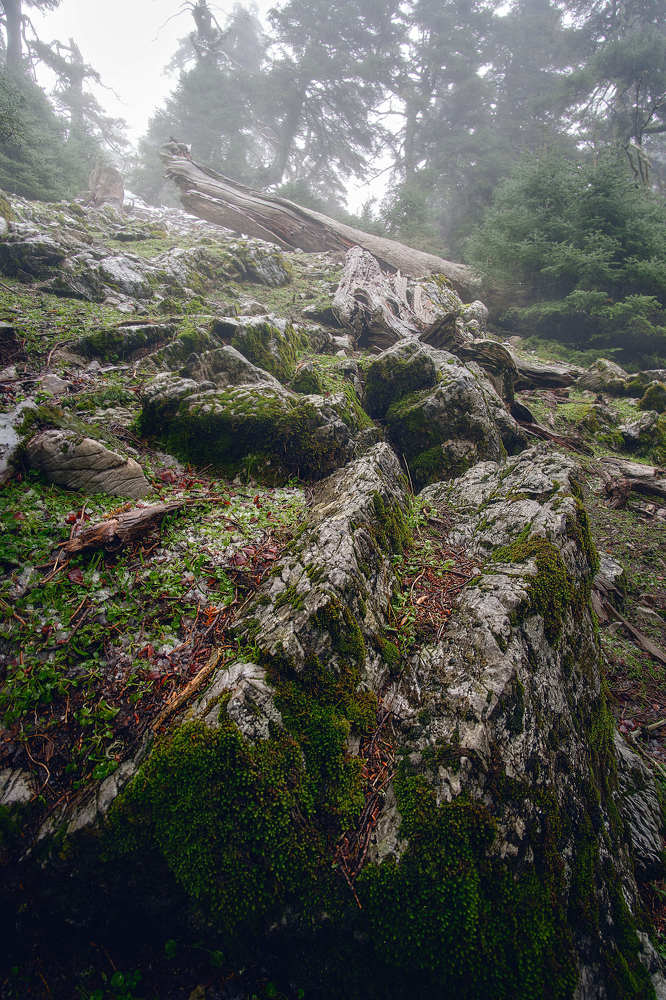 Sierra de las nieves
