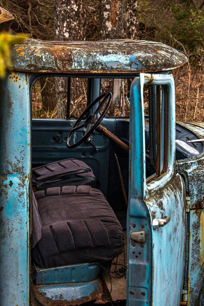 Фотография автора АНАСТАСИЯ ЛЕВИНА