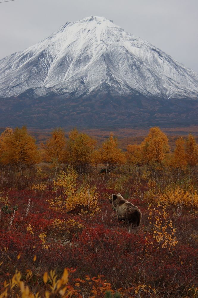 Photograph by Александр Суров