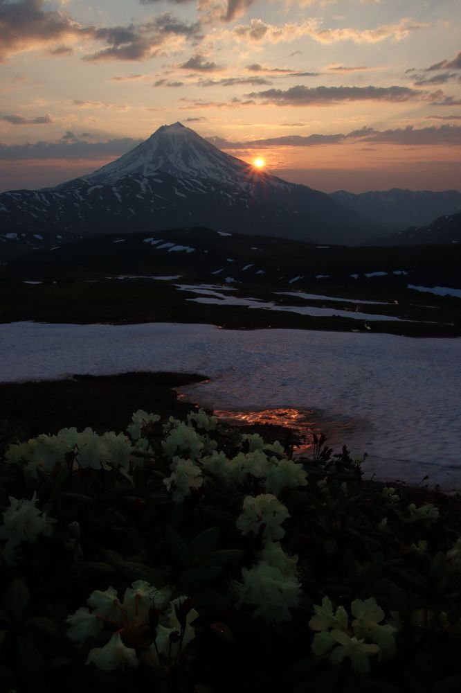 Photograph by Александр Суров