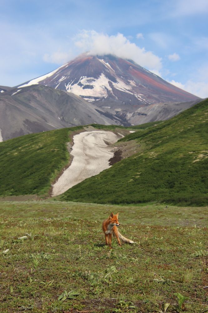 Photograph by Александр Суров