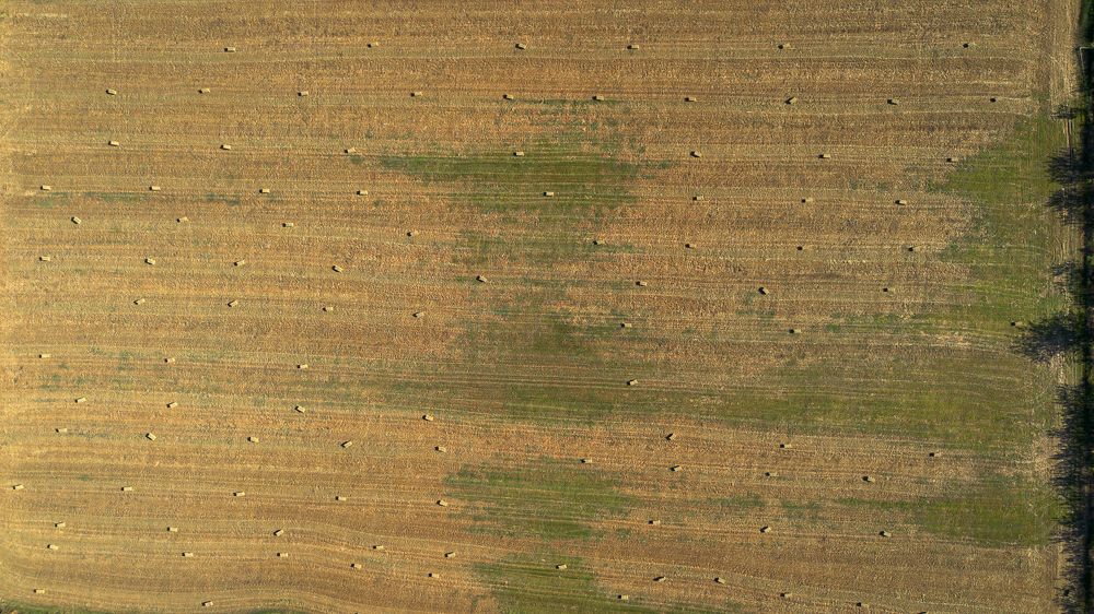 Photograph by CHRIS PAPAKIRITSIS