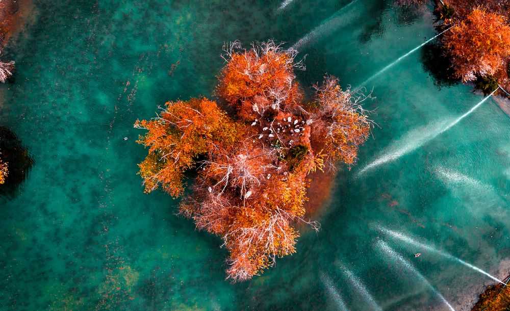 Photograph by CHRIS PAPAKIRITSIS