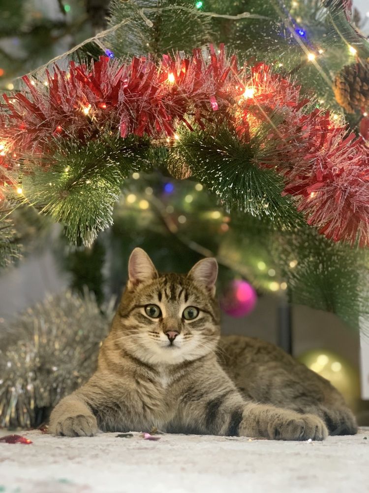 Photograph by Юлия Мартынова