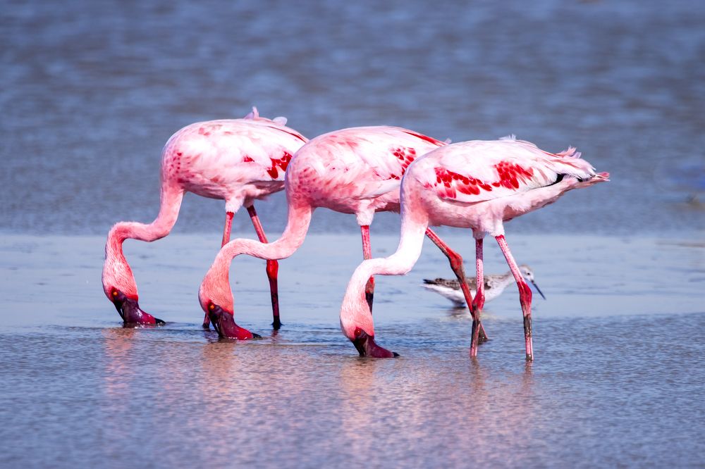 Photograph by Sugha Bapodara