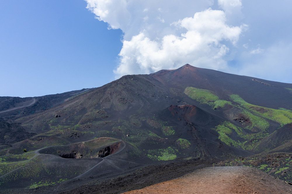 Фотография автора Minja Jovetic