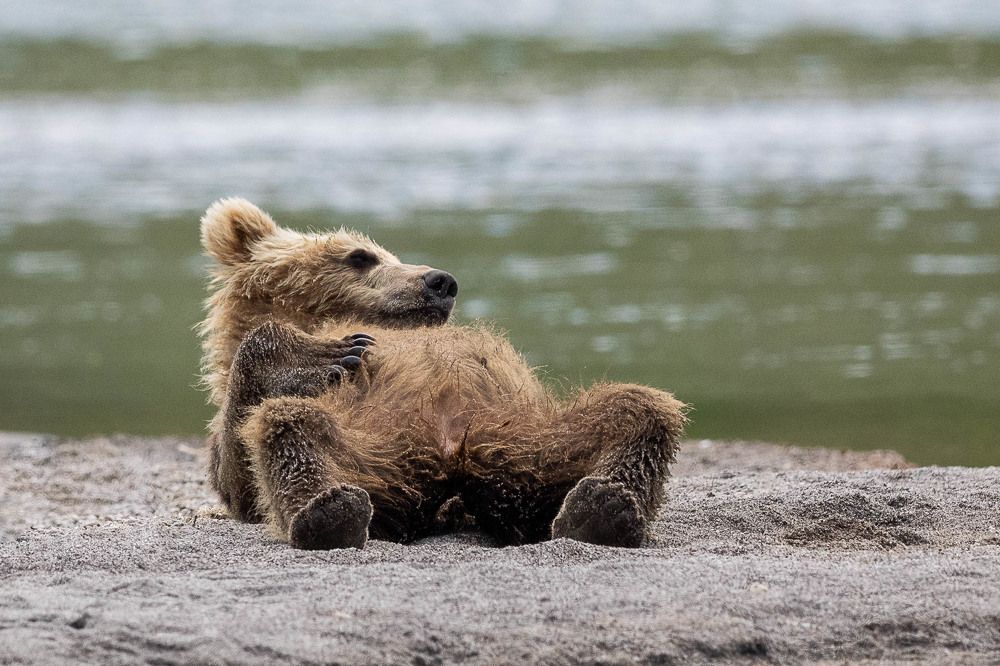 Photograph by Марина Маликова