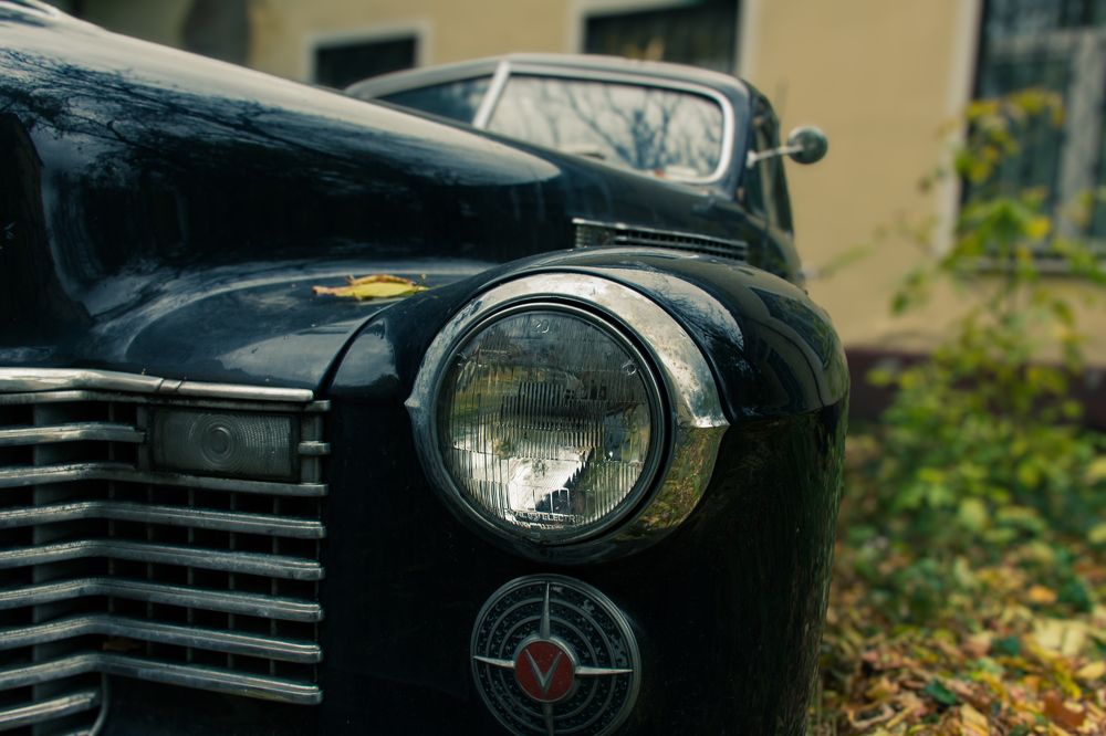 Photograph by Елена Богдан