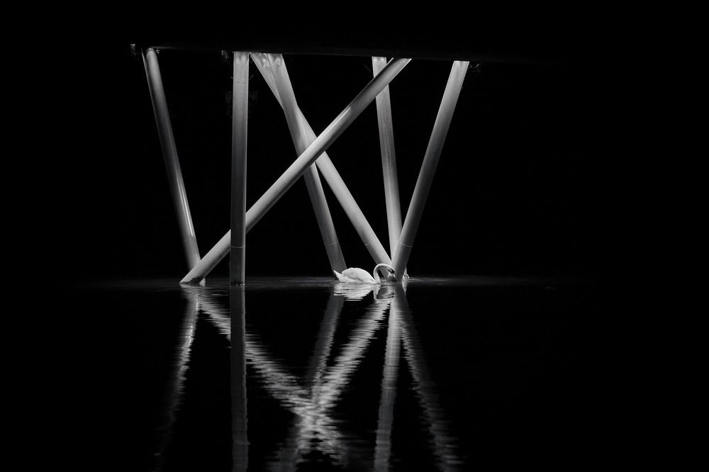 Photograph by Rudi Uran