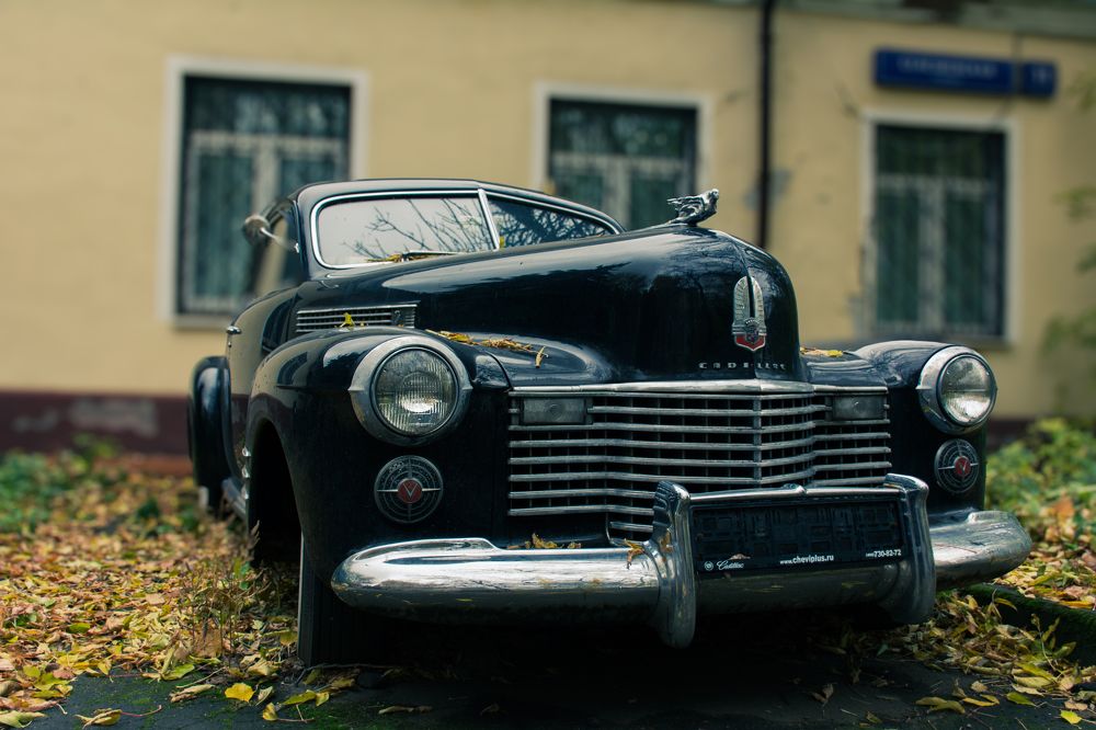 Photograph by Елена Богдан