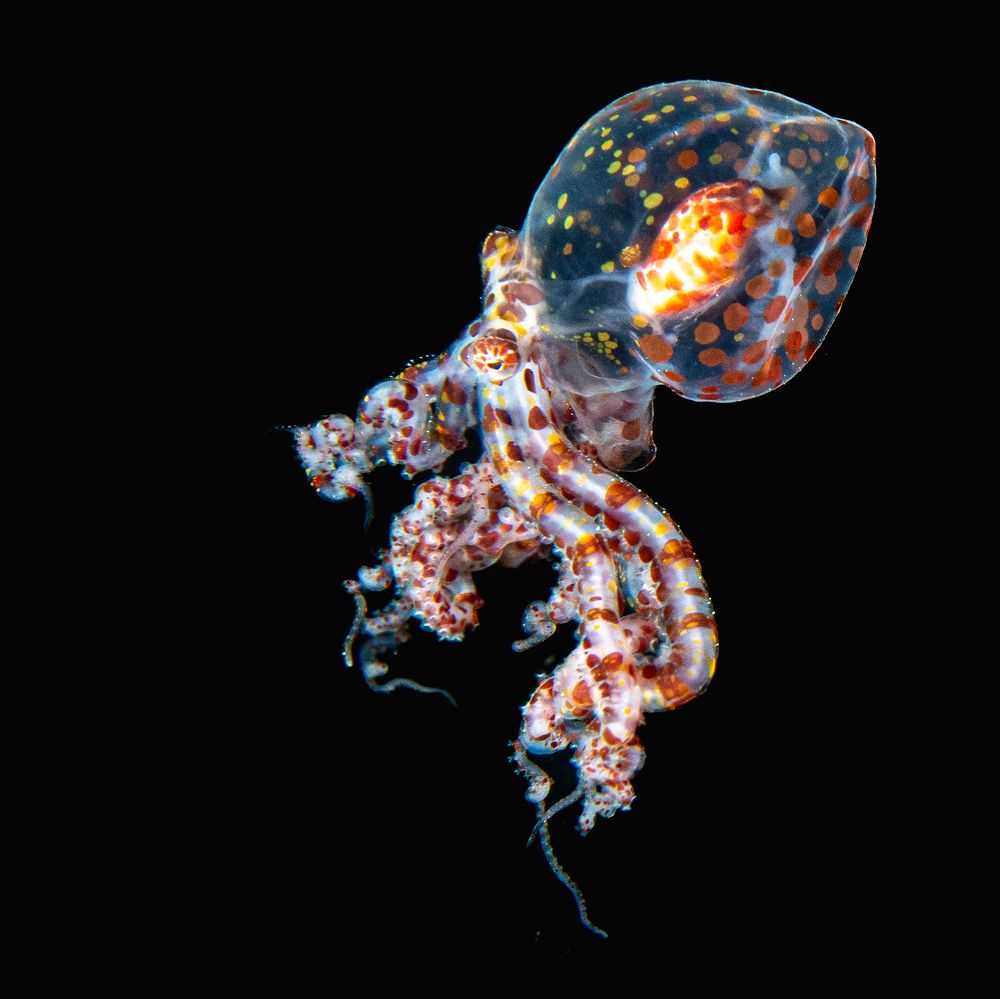 Photograph by Magali Marquez