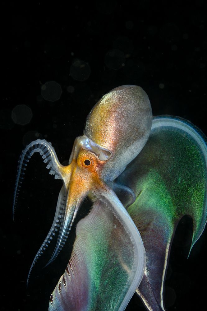 Photograph by Magali Marquez