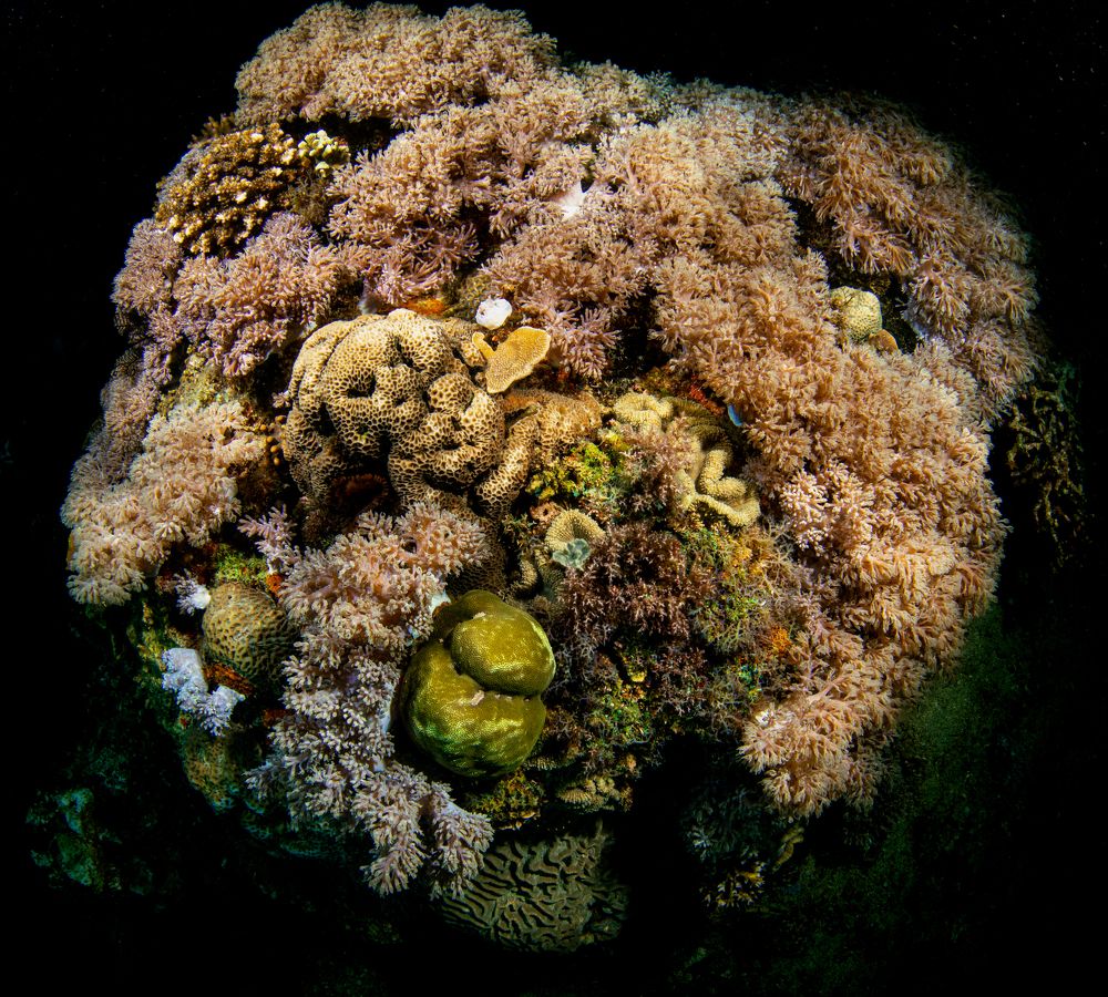 Photograph by Magali Marquez