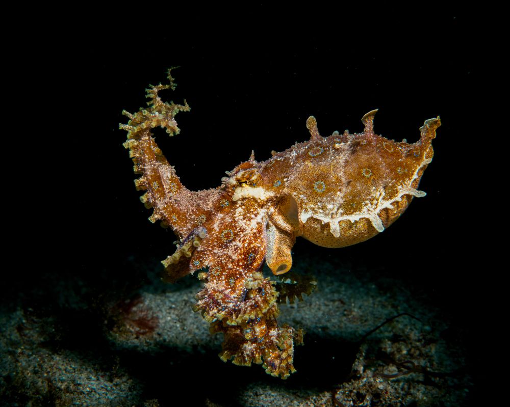 Photograph by Magali Marquez