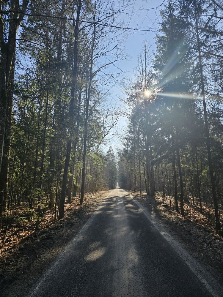 Photograph by Александр Петуховский