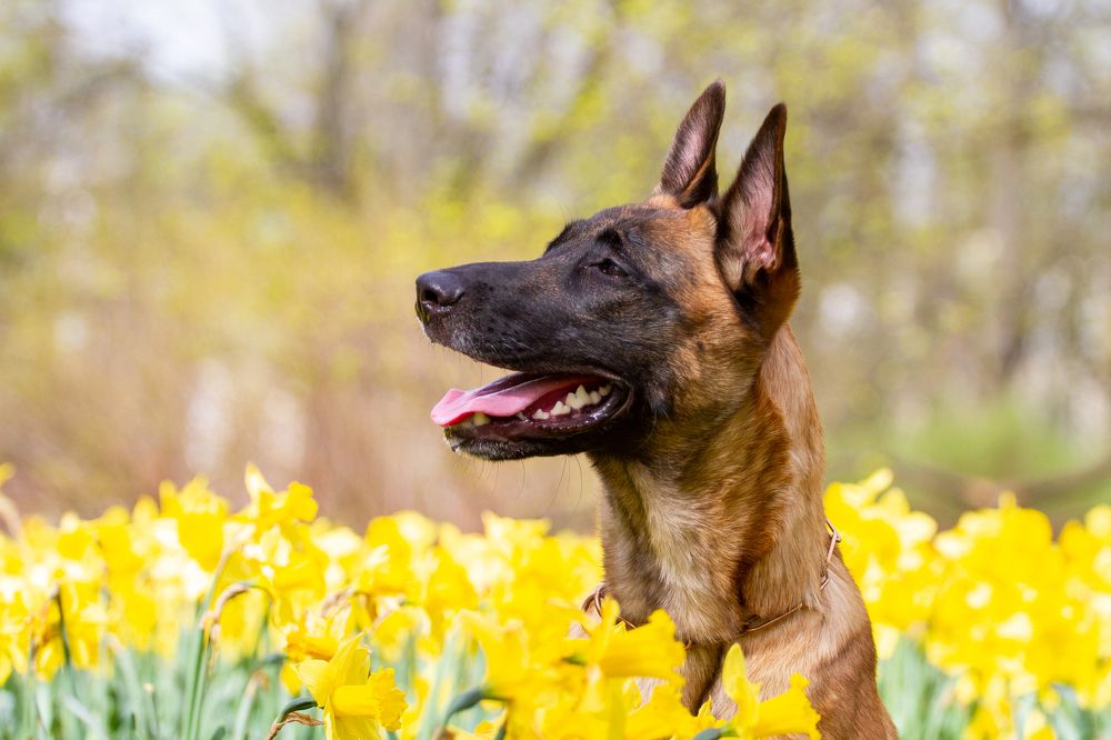 Фотография автора Анна Яковенко