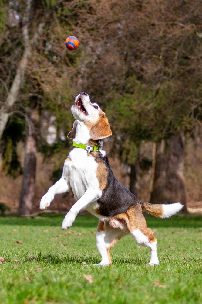Фотография автора Анна Яковенко