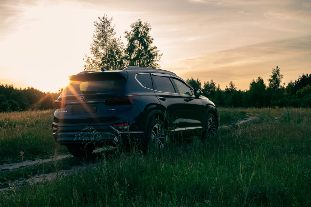 Фотография автора Ирина Гриценко