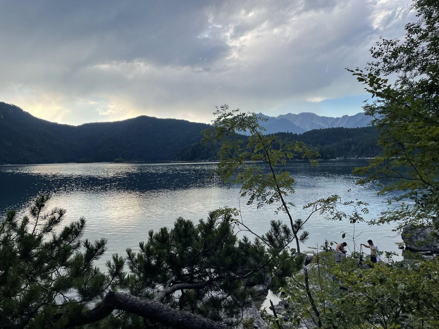 Photo #10514062
