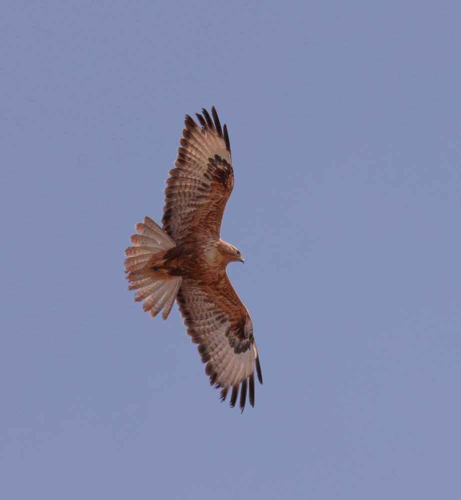 Photograph by Mahmut YILMAZ