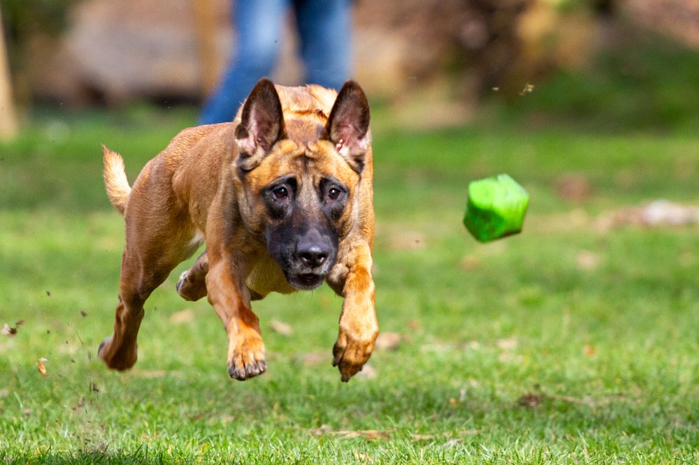 Фотография автора Анна Яковенко