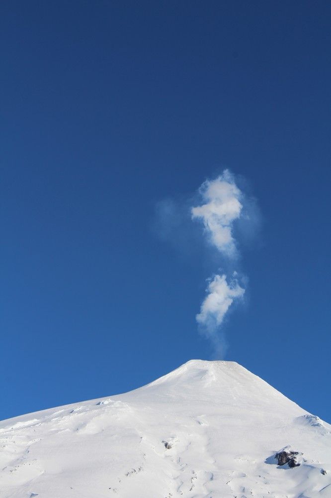 Фотография автора OSMIR ZANETTE