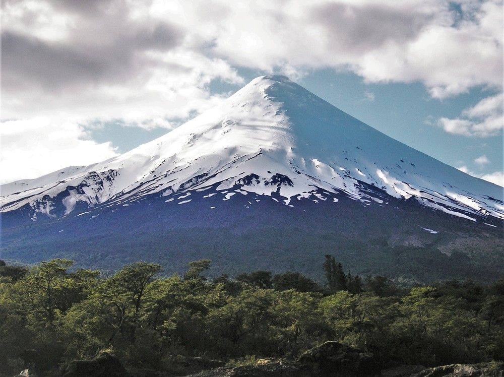 Фотография автора OSMIR ZANETTE