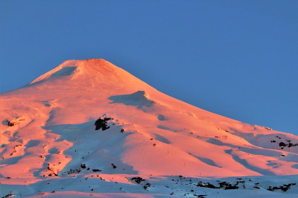 Фотография автора OSMIR ZANETTE