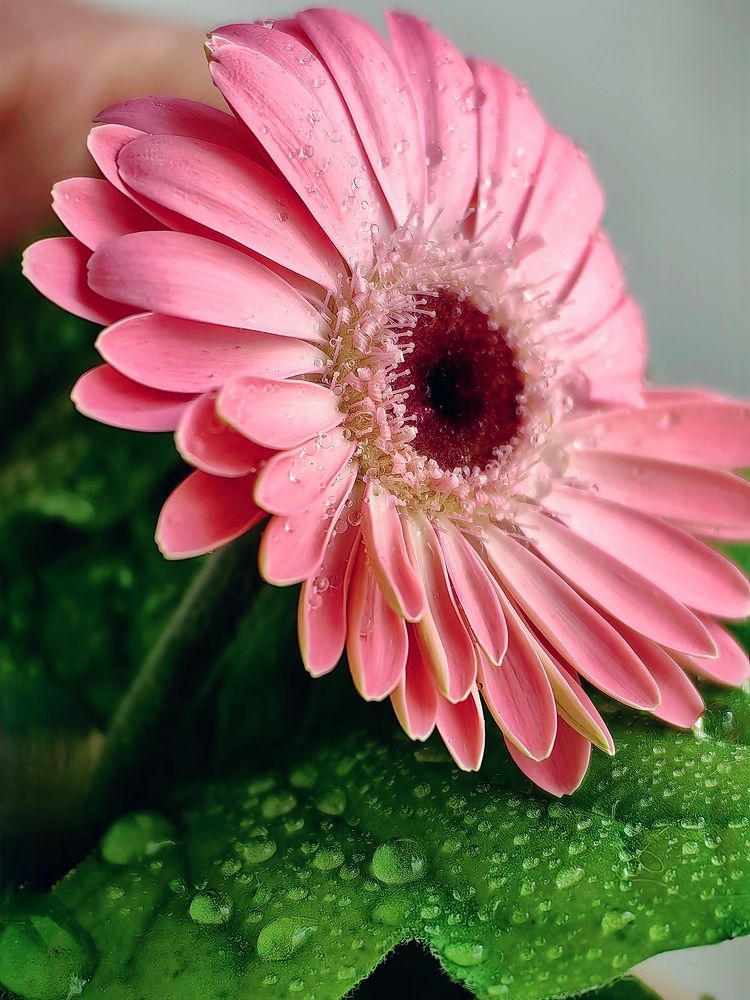 Photograph by Анна