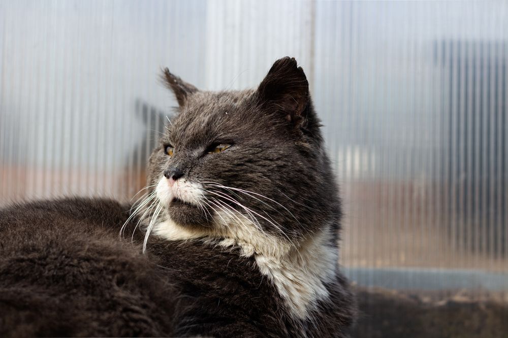 Photograph by Анна Масленникова-Бриль