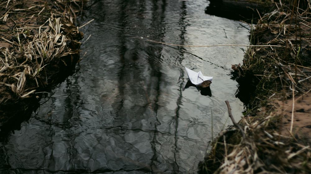Photograph by Анна Масленникова-Бриль