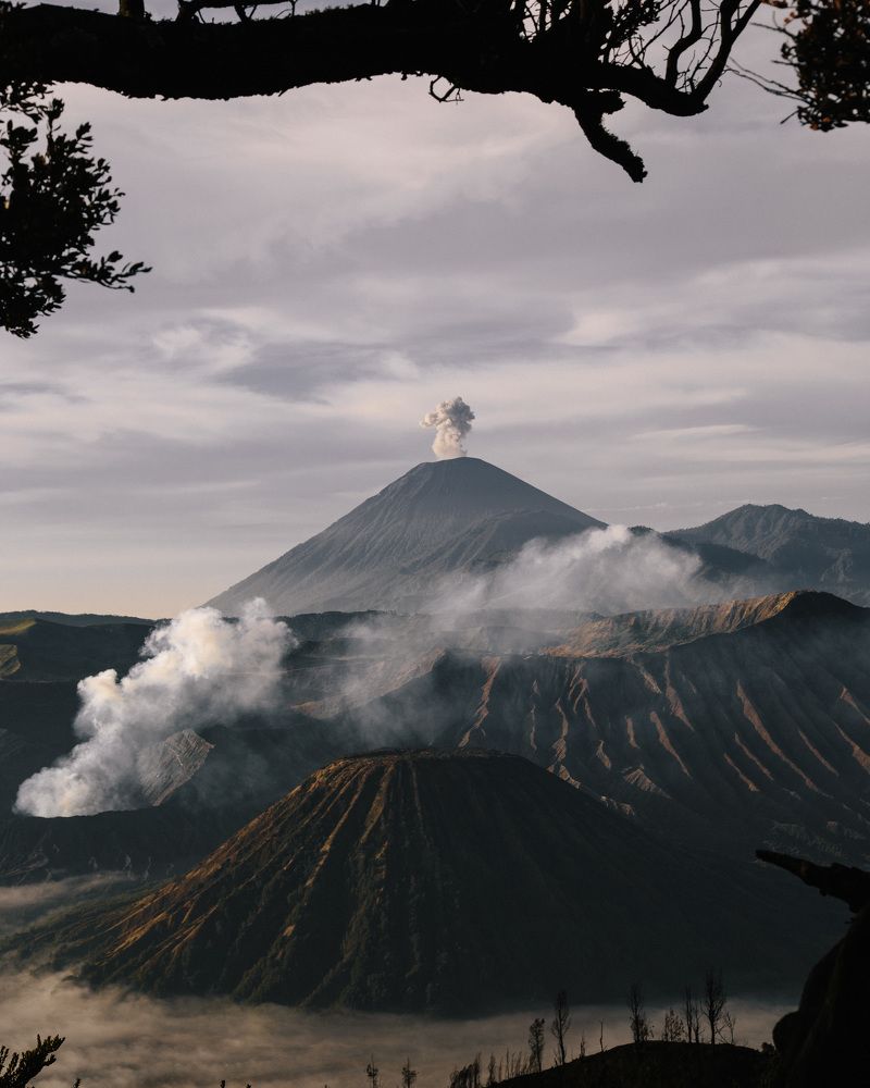 Photograph by Дарья Штерн