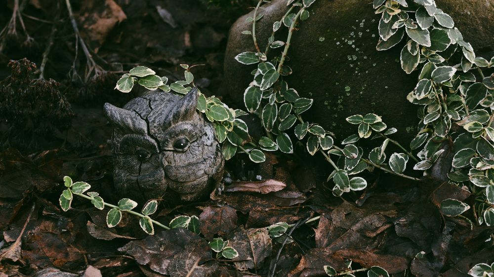 Photograph by Анна Масленникова-Бриль