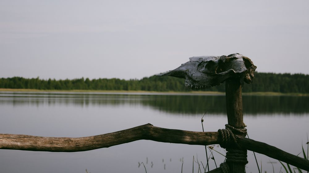 Photograph by Анна Масленникова-Бриль