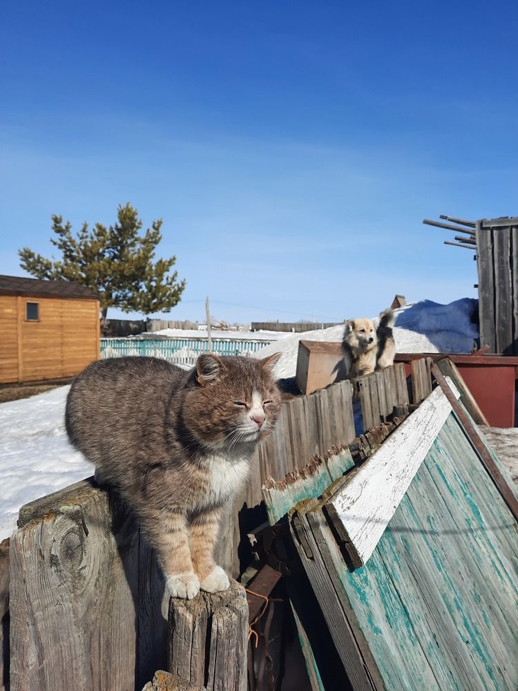 Photograph by Татьяна