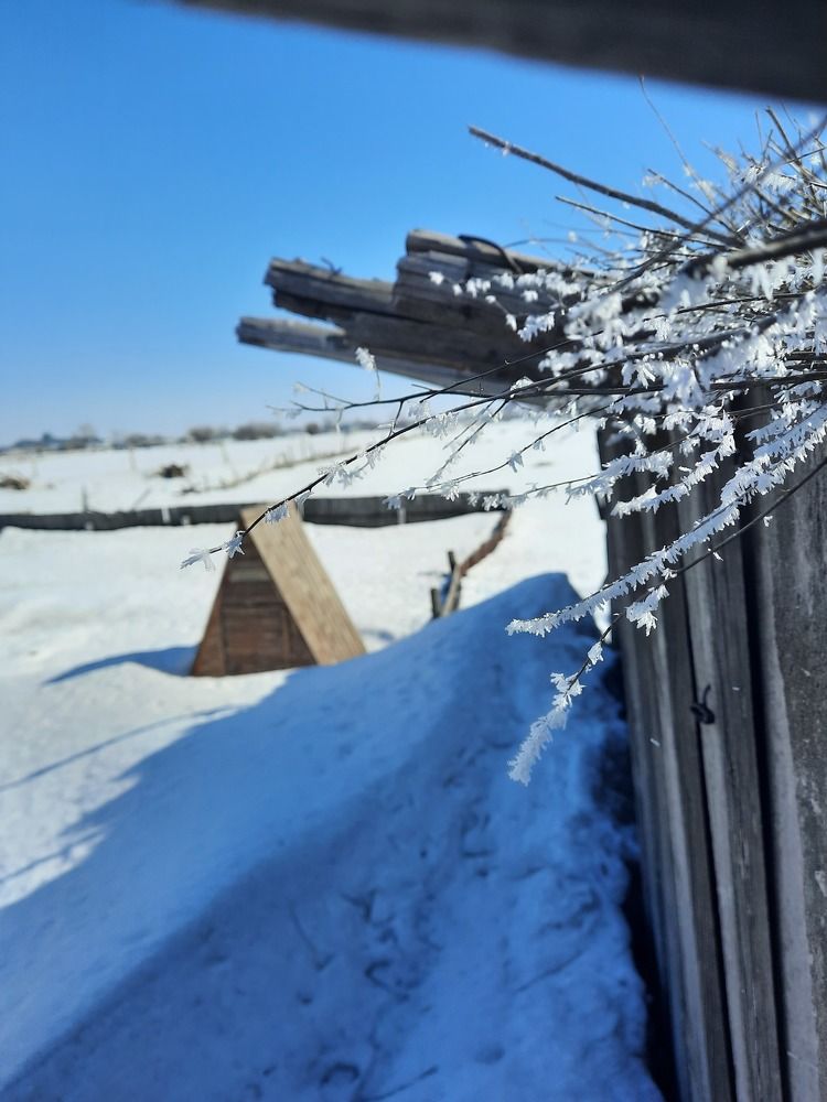 Photograph by Татьяна