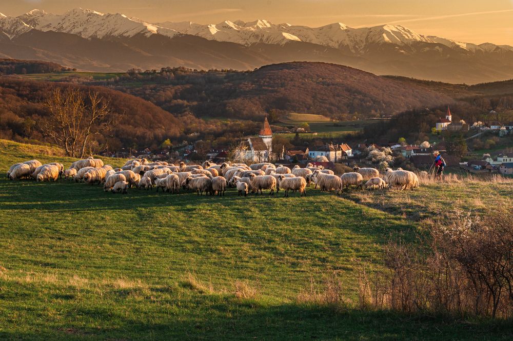 Photograph by Johann Kessler