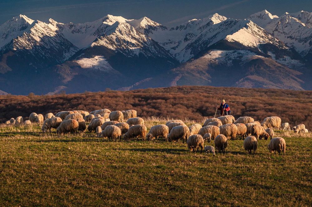 Photograph by Johann Kessler