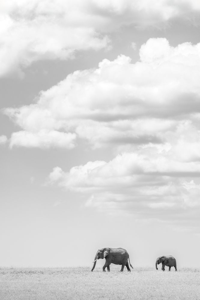 Photograph by Jayakumar MN