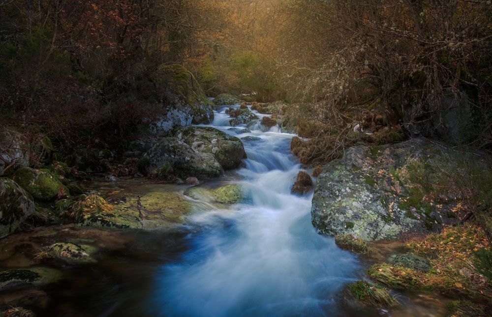Photograph by Joao Filipe Dos Santos